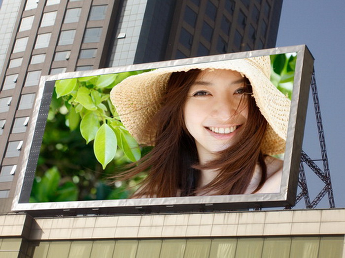 LED electronic display screen