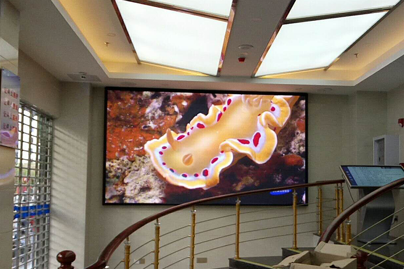 P3 indoor full-color LED display screen